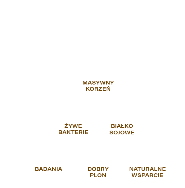 SecureBac P